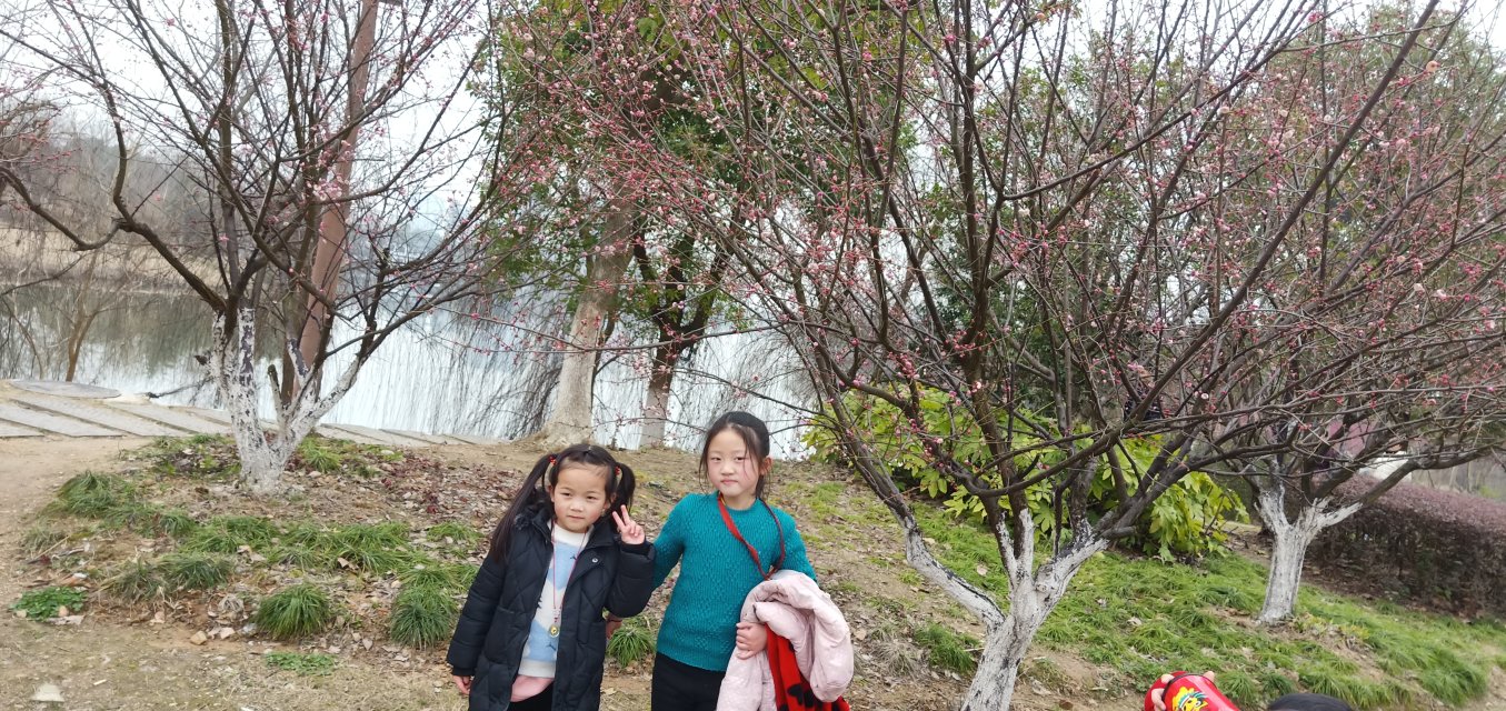 鄂东女子学校