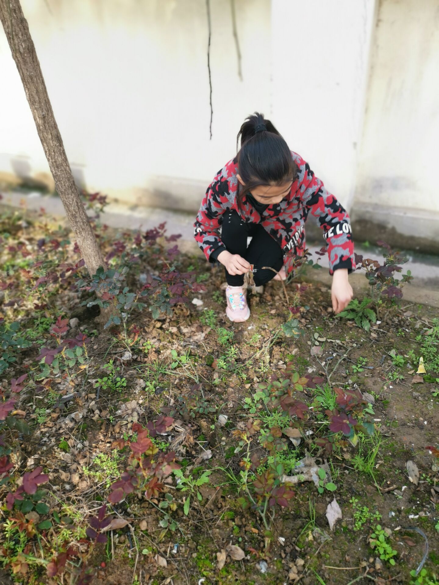 鄂东女子学校