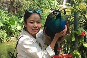 英语教师 吴博利